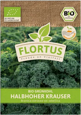 Produktbild von Grünkohl Halbhoher Krauser |  Kohlsamen von FLORTUS