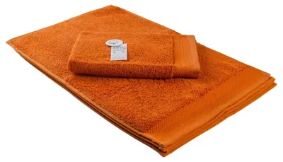 Image de ARTG - Serviette invité « Excellent Deluxe » LT3436 (taille unique) (cannelle)
