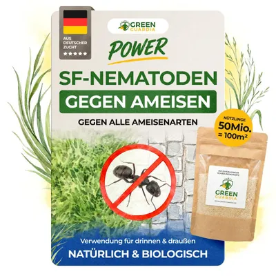 Produktbild von SF Nematoden gegen Ameisen- 50 Mio. für 500 100m² Mittel gegen Ameisen im Haus & Garten, Effektive Ameisen Bekämpfung, die Biologische Ameisenfalle