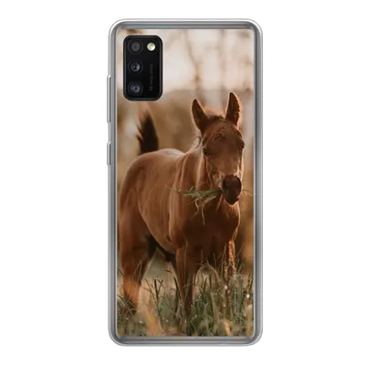 Produktbild von MuchoWow® Handyhülle Schutzhülle Hülle für Samsung Galaxy A41 Pferd - Sonne - Gras Silikon Softcase Handy Hülle - Mobiltelefon