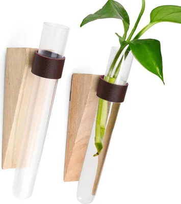 Produktbild von 2 Stück Reagenzglas Vase Ohne Bohren - Dekorative Glas-Vermehrungsstation für Wand und Fenster