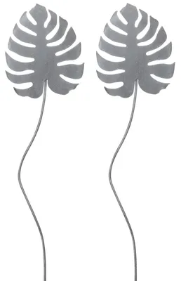 Image de Fiche de jardin Monstera 15 cm