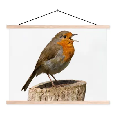 Produktbild von MuchoWow® Textilposter Rotkehlchen - Vogel - Holz 120x90 cm mit holzfarbenen Rahmen - Magnetisch