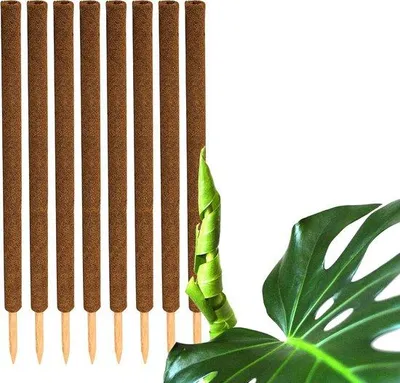 Produktbild von Famanu Pflanzenstütze 110 cm - 8er Set aus natürlicher Kokosfaser