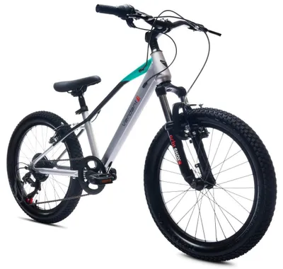 Produktbild von 20-Zoll-Jungenfahrrad, 6-Gang-Shimano-Schaltung, Verdant-Juniper-Stoßdämpfer