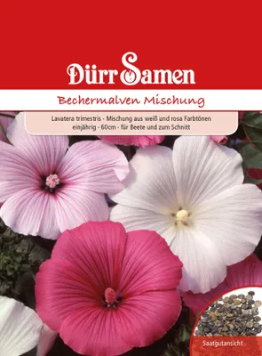 Produktbild von Bechermalve Mischung | Bechermalvensamen von Dürr Samen