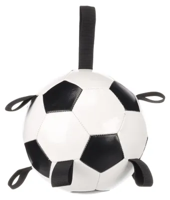 Image de Jeu Ballon de football pour chien Towa