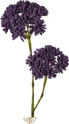 Produktbild von künstlicher Blütenzweig Allium mit 2 Blüten lila H. 86cm Formano Kunstblumen WA