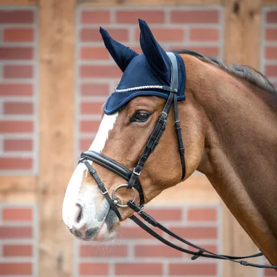 Produktbild von BUSSE Ohrenhaube FLY-AIR , Farbe:Navy, Größe:WB