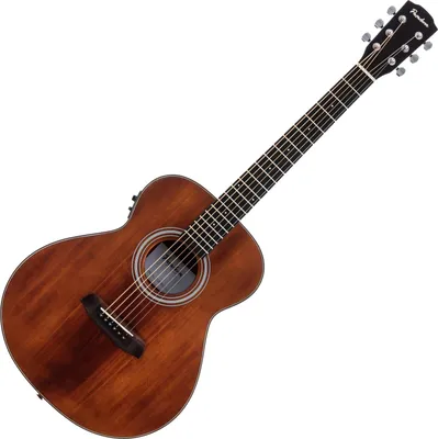 Obrázok produktu pre Pasadena PT-200E Vintage Elektroakustická gitara