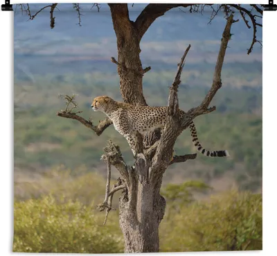 Produktbild von MuchoWow® Wandteppich Wandbehang Leopard - Baum - Tier 60x60 cm Tapisserie Dekoration Wandtuch - Dekorationen - Wand Decke