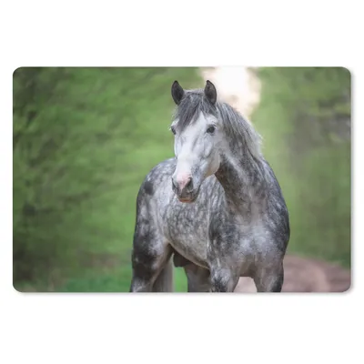 Produktbild von MuchoWow® Schreibtischunterlage Pferd - Wald - Porträt 60x40 cm - XXL Mauspad - Großes Mauspad