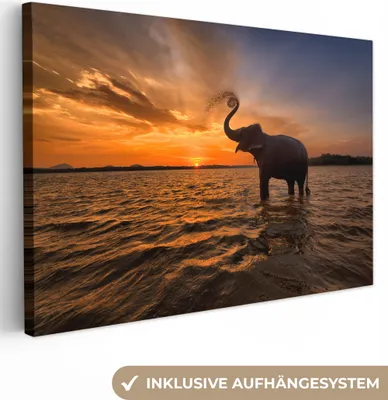 Produktbild von MuchoWow® - Leinwandbilder - Elefant - Meer - Tiere - Sonnenuntergang - Orange, Wandbild, Wanddeko Bilder Wohnzimmer, 90x60 cm