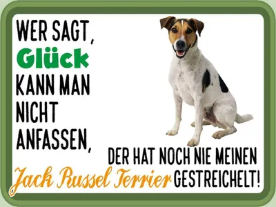 Produktbild von vianmo Holzschild 30x40 cm Glück Jack Russel Terrier Hund