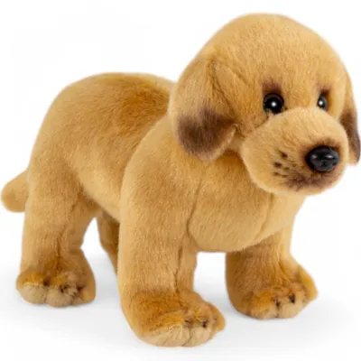 Immagine prodotto di Carl Dick Labrador in piedi di circa 20 cm, peluche, peluche, peluche 3679