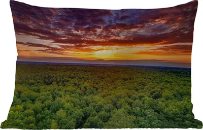 Produktbild von MuchoWow® Outdoor Kissen - Wald - Nacht - Himmel - Horizont - Bäume - 60x40 cm - Wetterfest - Lounge Kissen - Zierkissen - Kissen für Innenräume