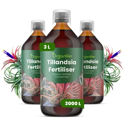 Produktbild von Flüssigdünger Für Tillandsien 3x1L – 2-1-8 NPK – Flüssig-Pflanzendünger Für Tillandsien – Organifer