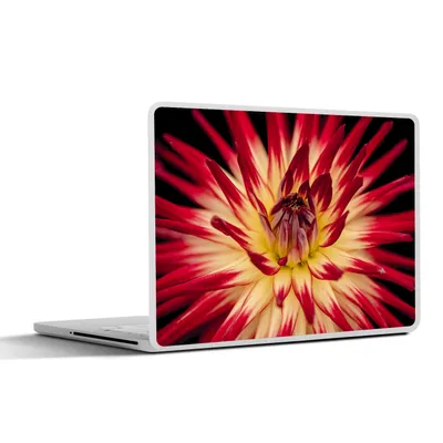 Produktbild von MuchoWow® Laptop Aufkleber Sticker Cover Blumen - Natur - Makro 25x18 cm - Laptop-Deko