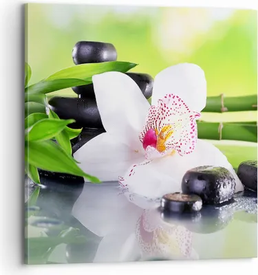 Produktbild von Bild auf Leinwand - Leinwandbild - blume orchidee - 70x70cm - Wand Bild - Wanddeko - Wandbilder - Leinwanddruck - Bilder - Kunstdruck - Wanddekoration - Leinwand bilder - Wandkunst - AC70x70-3659