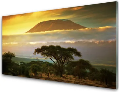 Produktbild von Acrylglasbilder 100x50 Wandbild Druck Baum Gebirge Natur