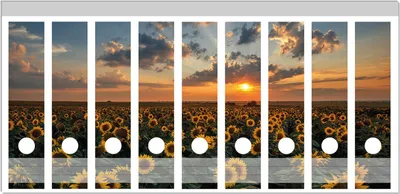 Produktbild von Wallario Ordnerrücken Sticker, selbstklebend für breite Ordner, 9 Stück, Motiv Sonnenblumenwiese vor Wolken mit Sonnenuntergang