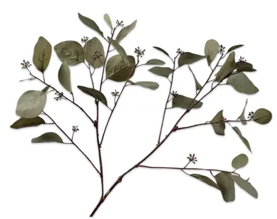 Produktbild von Silk-ka Kunstblume – Eukalyptuszweig aus Seide, grün-grau, 94 cm