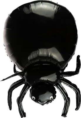 Obrázok produktu pre Arpex Halloween fóliový balónik s pavúkom - dekorácia na párty