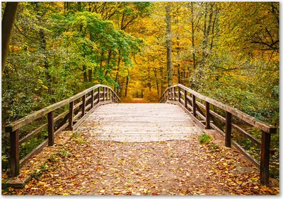 Produktbild von Tulup® Glas-Bild - 100 x 70 - Wandbild aus Glas - Wandkunst - Wandbild hinter gehärtetem Sicherheitsglas - Landschaften - Brücke Herbstwald - Gelb