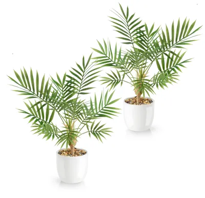 Immagine prodotto di Set di 2 piante artificiali: palme Areca in vasi di Vetroceramica bianca