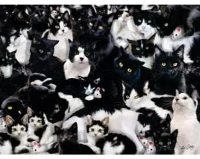 Produktbild von Black and White 1000 PC Puzzle