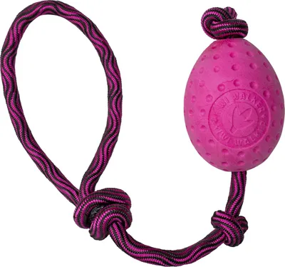 Obrázek produktu pro Hračka pes EGG MAXI plov. z TPR růžová Kiwi