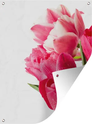 Produktbild von MuchoWow® 30x40 cm Outdoor-Poster Gartendeko Sichtschutz Garten Poster für den Garten  Rosa Tulpen