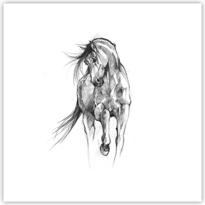 Produktbild von Poster - Poster ohne Rahmen - Pferd Galopp Tier - 30x30 cm - Wand Bild - Wanddeko - Wandbilder - Kunstposter - Wandposter - Bilder - Kunstdruck - Wanddekoration - Wandbild - P2XAC30x30-5080
