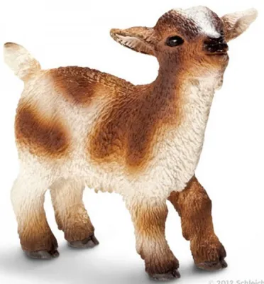 Produktbild von Schleich 13716 Zwergzicklein