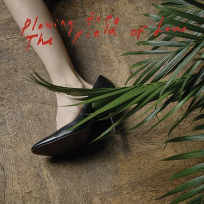 Obrázok produktu pre Iceage: Plowing Into The Fields Of Love