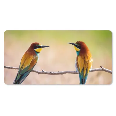 Produktbild von MuchoWow® Schreibtischunterlage Vögel - Bienenfresser - Tiere 80x40 cm - XXL Mauspad - Gaming Mauspad