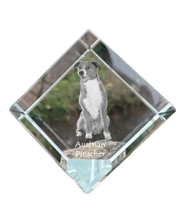 Imagen del producto de Art-Dog Pisapapeles – Pinscher austriaco