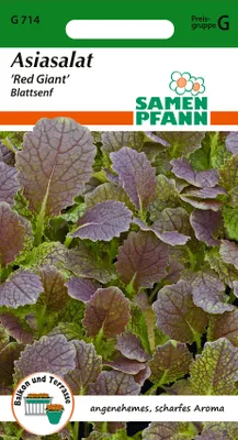 Produktbild von Asiasalat Red Giant | Asiasalatsamen von Samen Pfann