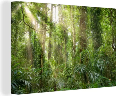 Produktbild von OneMillionCanvasses® - Leinwandbilder - 150x100 cm, Licht im Wald, Wandbilder Kunstdruck Wanddekoration