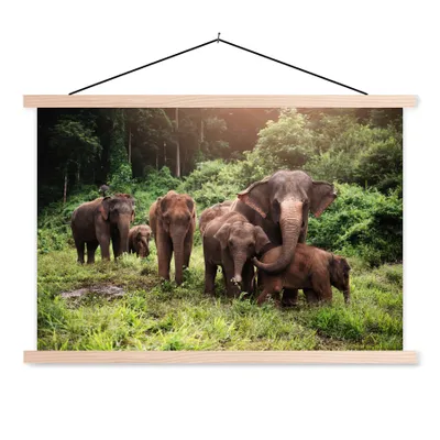 Produktbild von MuchoWow® Textilposter Elefant - Tiere - Wald - Gras - Grün 60x40 cm mit holzfarbenen Rahmen - Bilder