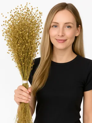 Produktbild von JR FARM Flachs in Ähren zum Knabbern für alle Papageien 30g