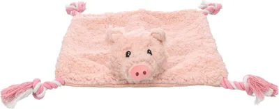 Produktbild von Flamingo Hundespielzeug Poppo Schwein mit Seil rosa