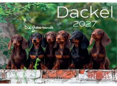 Zdjęcie produktu dla Kalendarz ścienny "Dackel" na rok 2027