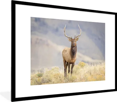 Produktbild von MuchoWow® MuchoWow® Gerahmtes Poster Hirsche - Berge - Gras 80x60 cm - Poster mit zchwarzem Bilderrahmen - Schlafzimmer-Dekorationen - Fotoposter