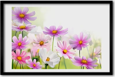 Produktbild von Bild 60x40 MDF-Rahmen, Wandkunst Blumen auf der Wiese