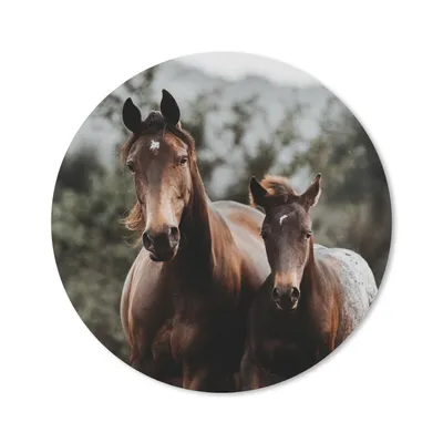 Produktbild von MuchoWow® Mauspad Mousepad Pferd - Fohlen - Natur 40x40 cm - Mousepads - Maus Mat - Pad - Mausunterlage - Schreibtisch Accessoires