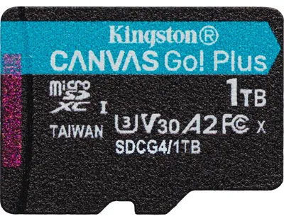 Immagine prodotto di Kingston Canvas Go! Plus - Scheda di memoria flash