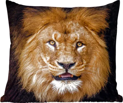 Produktbild von MuchoWow® Zierkissen Sofakissen Wohnzimmer Dekokissen 40x40 cm Löwe - Porträt - Schwarz - Tiere - Foto Kissen - Schlafzimmer Dekoration