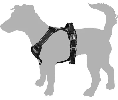 Produktbild von Flamingo Hundegeschirr - hundegeschirr Grosse Hunde - 40–62cm A. Brust / 60–85cm B. Bauch Harness Balou Blau L