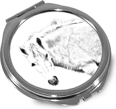 Productafbeelding van Fjordenpaard spiegel met paard Art-Dog
